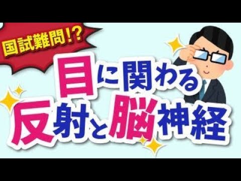 反射性について詳しく解説
