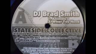 Dj Brad Smith - What You Need
