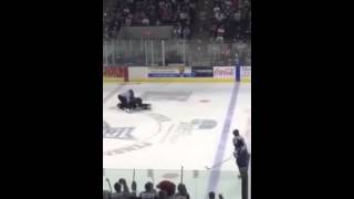 Hockey Fight