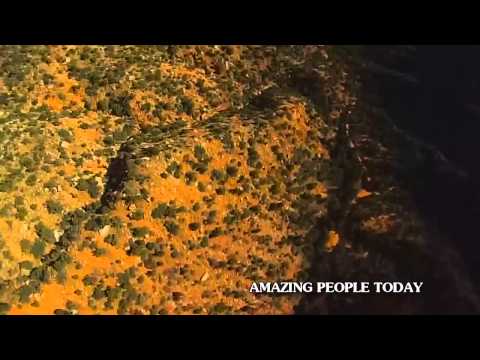 Vicetone vs Popeska - The New Kings Ft Luciana (PEOPLE ARE AWESOME)