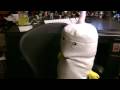 Adult Swim Spot What Is It