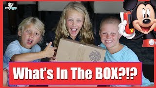 WHAT'S IN THE BOX? | Countdown to Fun Walt Disney World Box #1