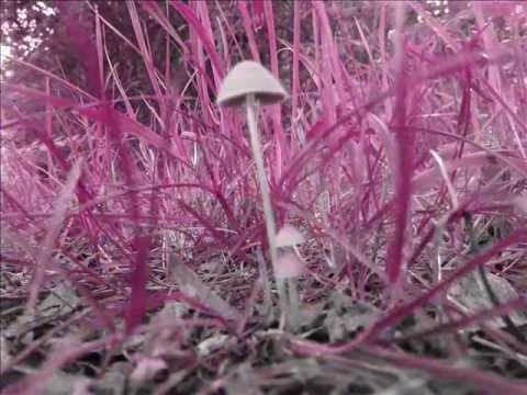 "Sugnuf" (口弦 (Ho Ho) recording)