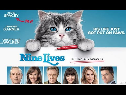 Nine Lives 2016 : Cat Funny clip