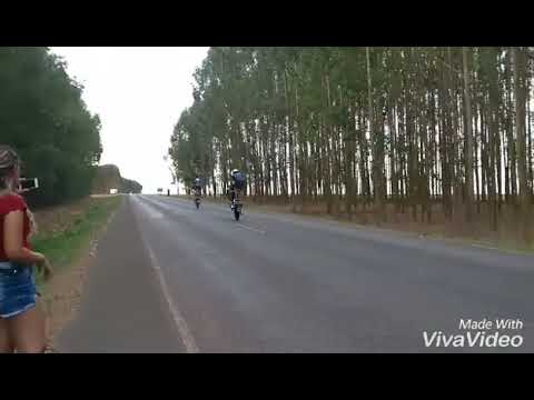 Família BDQ de Primavera do Leste MT