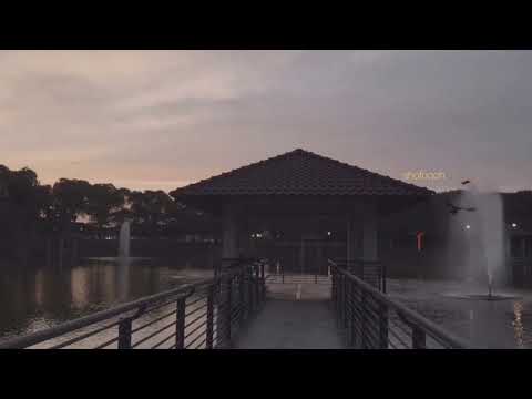 hey there young sailor.