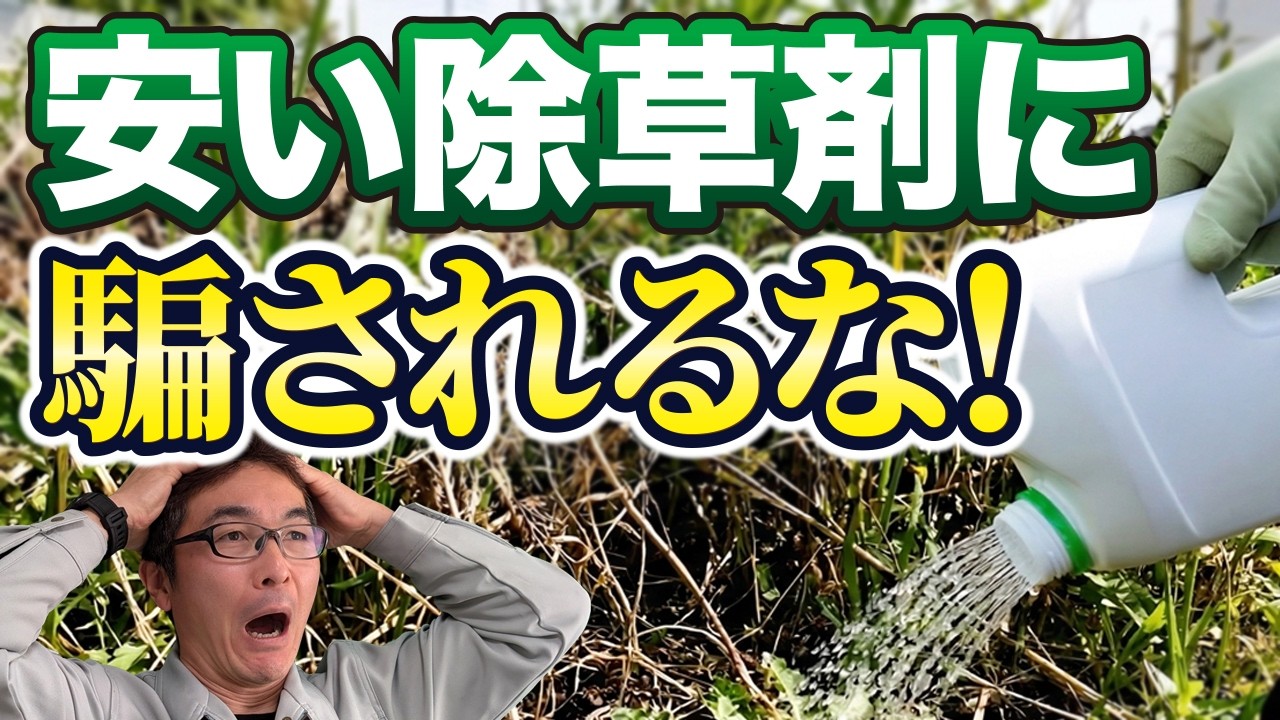 【初心者向け】ホームセンターの安い除草剤で失敗する理由