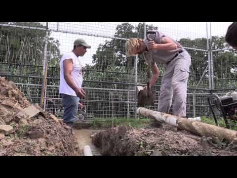 Park Floods Force Trench Dig Out At The GW Zoo (Joe Exotic TV)