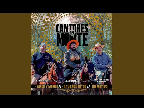 Amor y Monte / A tu Encuentro / Un Motivo