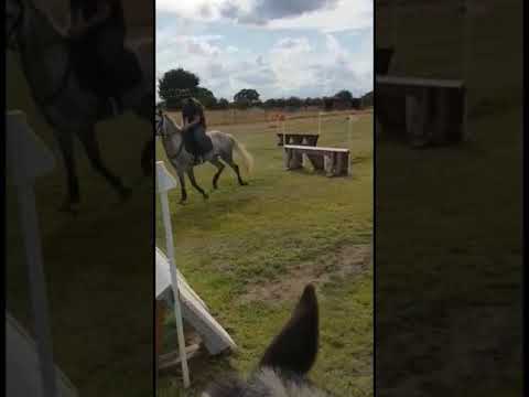 Cheeky Sybil xc training at Epworth BE 90 and 100 fences