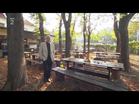 Metuzalém; Zhoubné nádory   František Koukolík