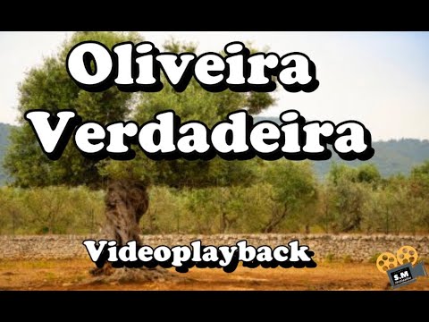 Oliveira Verdadeira - Playback com legenda - Trio Alexandre