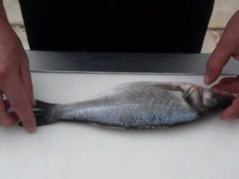 Passionate About Fish - How to Fillet and Clean Sea Bass and Bream