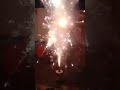 Diwali Galatta Thalapathy Vijay Song