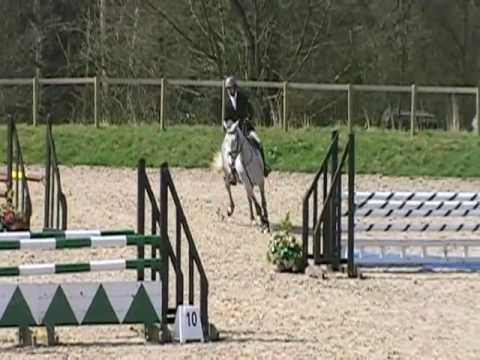 Florence (Contact x Utrillo x Darco) 2007 Mare *Sold*