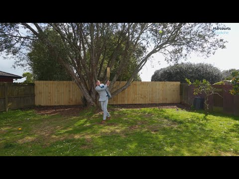 6 Arnhem Place, Pukekohe, Franklin, 3 ਕਮਰੇ, 1 ਬਾਥਰੂਮ, House