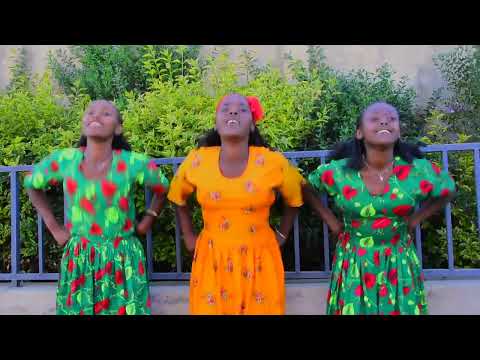 Darajjee Girmaa maaloo  maaluma siif ta'u new oromo music 2023