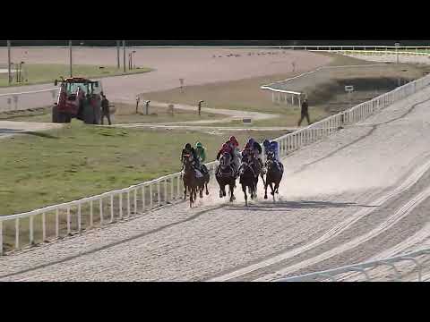 2023.03.26. 07. futam - HÓVIRÁG HENDIKEP (IV.o.) (szintetikus pálya)