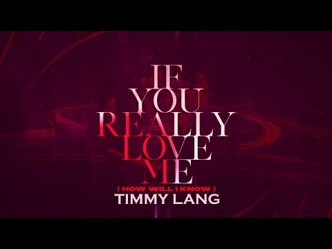 David Guetta X MistaJam X John Newman - If You Really Love Me (How Will I Know) (Timmy Lang Remix)