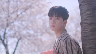 【MV中字】N.Flying - Spring Memories (봄이 부시게) [Chinese Sub]