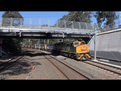 Australian diesel locomotives C505, C506, C507 & C510  - heavy coal drags - Beecroft - late 2016