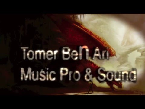 Tomer Ben Ari Music pro % Sound