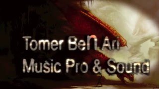Tomer Ben Ari Music pro % Sound