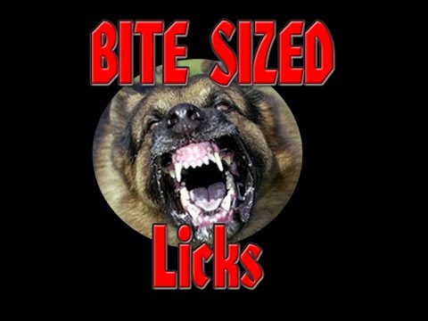 Bite Sized Bm Legato