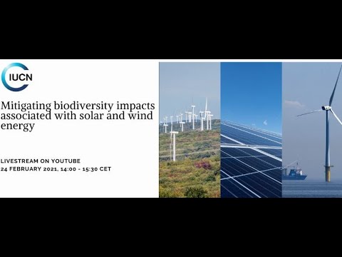 , title : 'Mitigating biodiversity impacts associated with solar and wind energy'