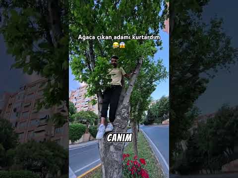 Müşteriyi ağaçtan kurtardım 😂😱 #shorts #reels #tiktok #fyp #kurye #motovlog #viral #keşfet