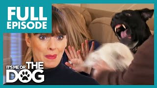 Thumbnail del capítulo