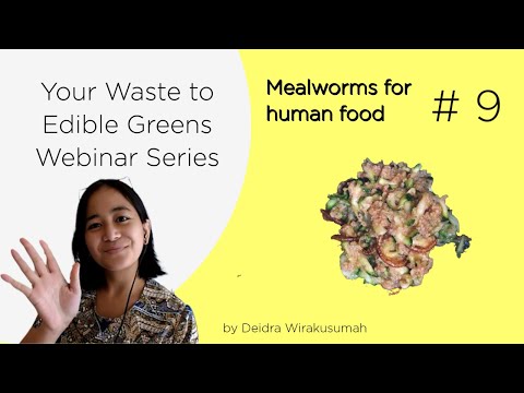 Mealworms for Human Food ┃Your Waste to Edible Greens #9