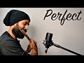 Ed Sheeran - Perfect | Unplugged Flute Cover | Rahul Krishnan