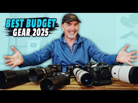 BEST Budget Wildlife CAMERAS and LENSES for 2025!