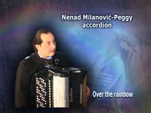 Over the rainbow, Nenad Milanovic-Peggy accordion