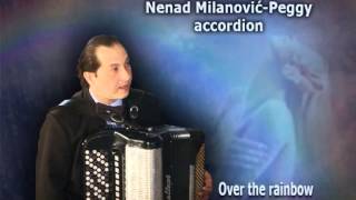 Over the rainbow, Nenad Milanovic-Peggy accordion