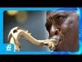Houston Person - Blue Moon