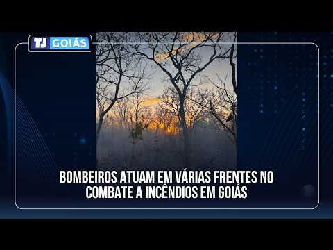 BOMBEIROS ATUAM EM VÁRIAS FRENTES NO COMBATE A INCÊNDIOS EM GOIÁS