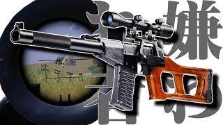 【PUBGMOBILE】ブ◯(VSS)とデ◯ス(DBS)コンビが強い！？