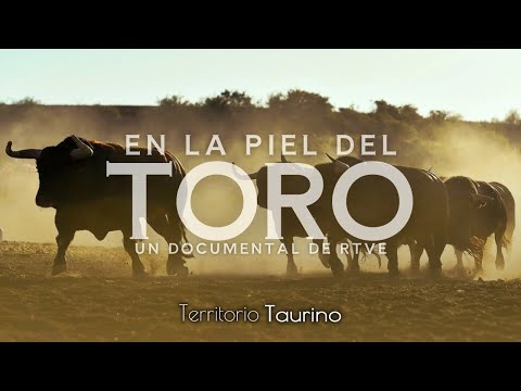 DOCUMENTAL | En la piel del toro