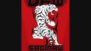 laos new year 2010. year of the tiger. saginaw tx, dfw parade mixtape track 1