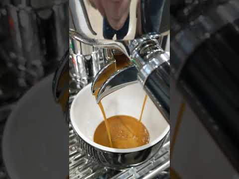 ECM Synchronika - dual boiler, PID - Group 1 home espresso machine