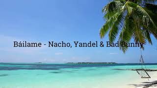 Download lagu Latin Summer Mix 2021 | Best spanish Music for Dance and Chill in Summertime mp3 Download lagu Latin Summer Mix 2021 | Best spanish Music for Dance and Chill in Summertime mp3