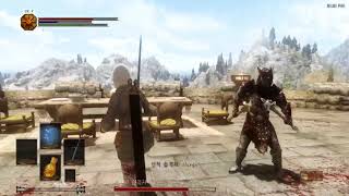 Skyrim - Dark Souls Combat mod