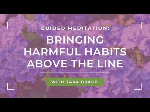 Guided Meditation: Bringing Harmful Habits Above the Line with Tara Brach