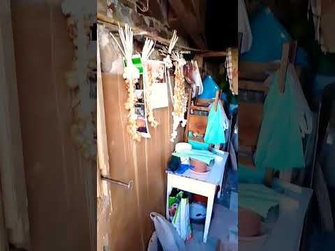 #Shorts 😉😄Era aperto e sono curiosa 😉 Montagano ❤️ CB Molise ❤️#Italia