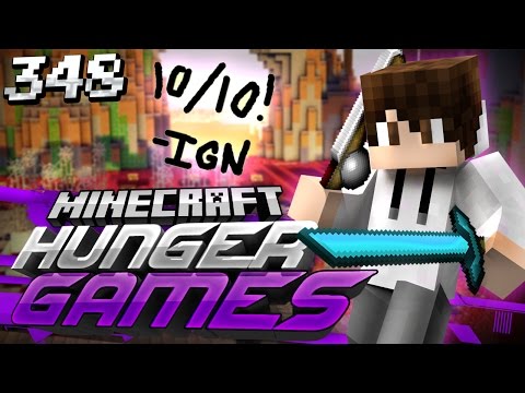 Minecraft Hunger Games: Game 348 - THE PERFECT GAME?!