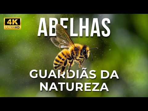 ABELHAS | As Guardiãs da Natureza | DOCUMENTÁRIO COMPLETO 4K