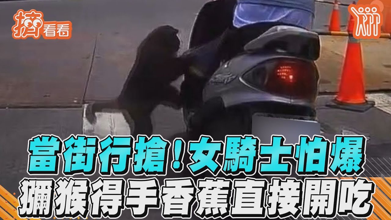 當街行搶!女騎士怕爆 獼猴得手香蕉直接開吃