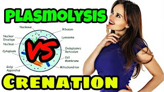 PLASMOLYSIS vs CRENATION | What's Difference - OLEVEL Biology 5090